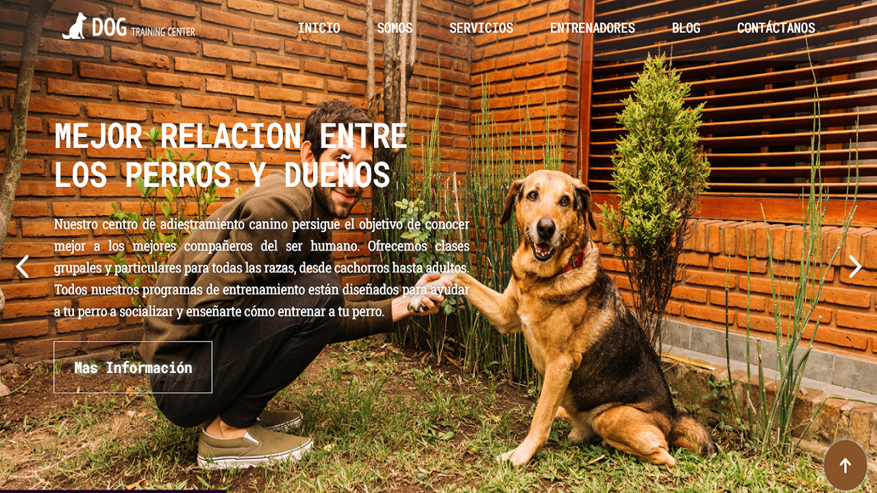 Proyecto 2